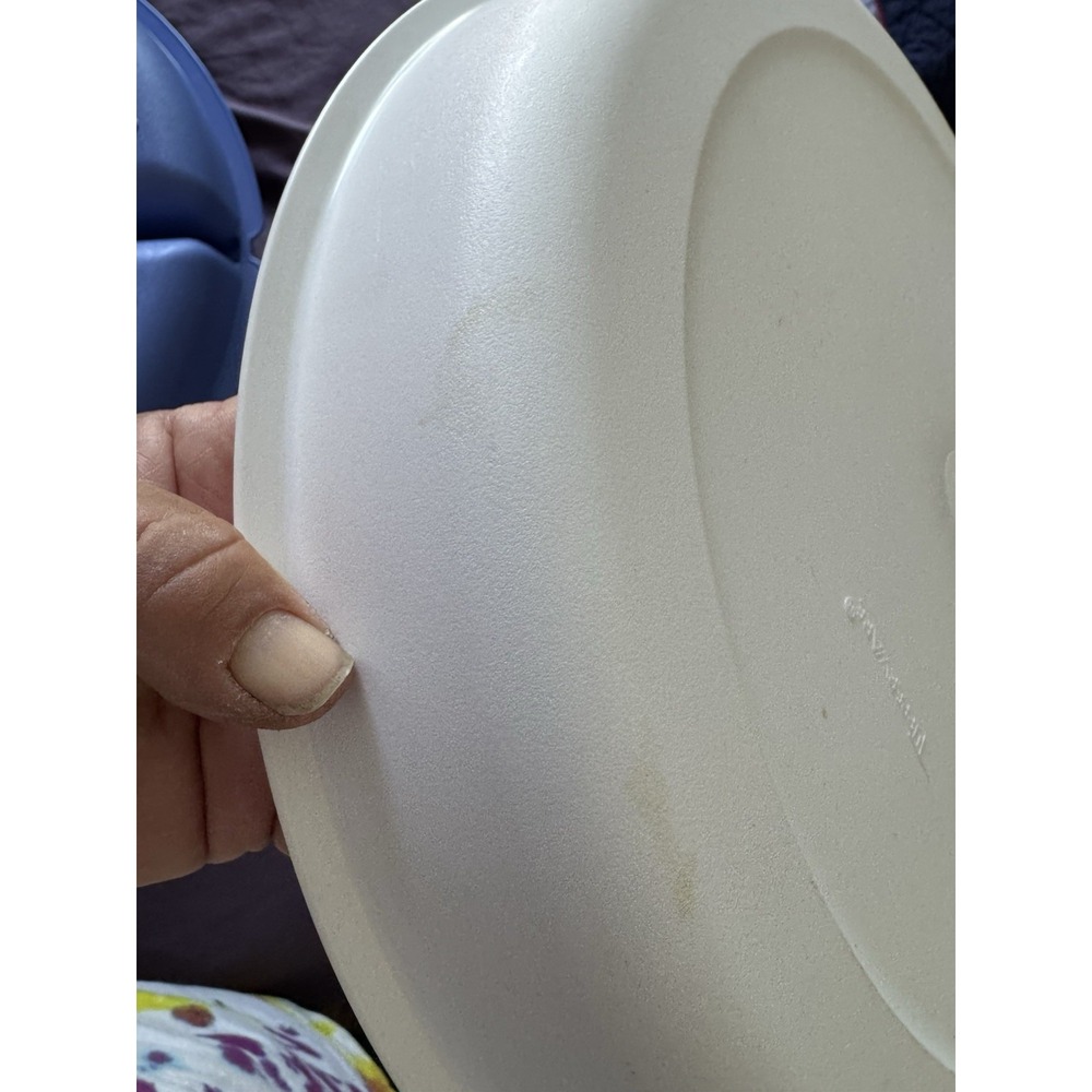 Tupperware Divided Container - Picture 8 of 10